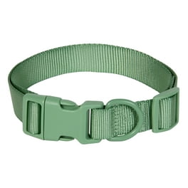 Einstein dog collar online