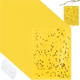 thumbnail image 1 of Sticky Traps Qualirey, 100 unidades, trampas adhesivas de doble cara para plantas, 1 of 7