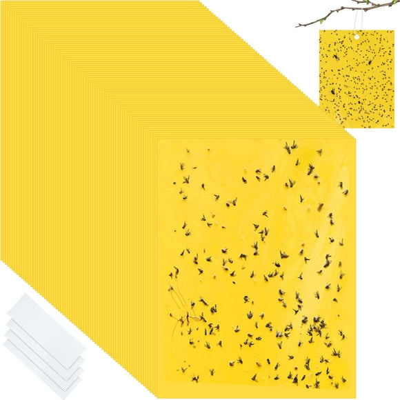 Sticky Traps Qualirey, 100 unidades, trampas adhesivas de doble cara para plantas