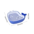 thumbnail image 3 of Whale Shaped Cat Grass Growing Kit, 6.3x5.5in Soilless Hydroponic Cat Grass Planter Box, Cat Snack Cat Grass Container for Indoor Cats, Blue, 3 of 6
