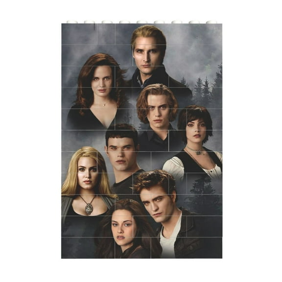 Square Shape Puzzles Kit Twilight Saga Puzzle Building Brick Block Jigsaw Decorative Gift