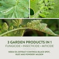 thumbnail image 6 of Garden Safe Fungicide 3 Concentrater, 28 oz, Controls Fungus & Insects, 6 of 11
