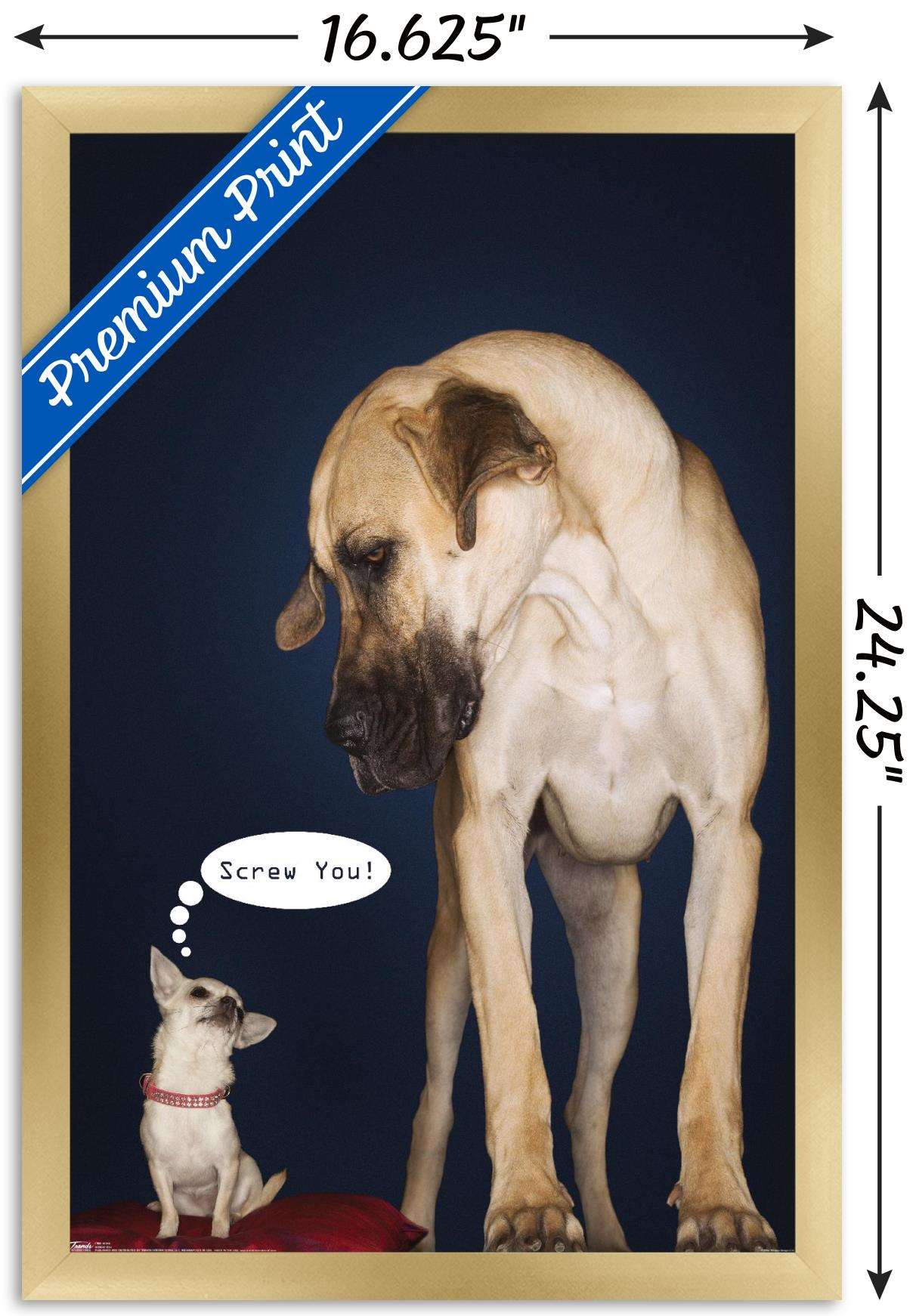 Dogs - Screw You Wall Poster, 14.725" x 22.375", Framed