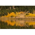thumbnail image 2 of Jones, Adam 14x11 Black Ornate Wood Framed with Double Matting Museum Art Print Titled - Autumn view of willows and aspen trees along shoreline of Two Ocean Lake-Grand Teton National Park, 2 of 4
