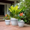 thumbnail image 6 of Ordivic Set of 3 (6/8/10 Inch) Black and White Ceramic Planter with Saucer & Drainage Hole,Modern Plant Pots for Indoor Succulents Herbs, 6 of 8
