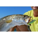 Yo-Zuri 3D Inshore Twitchbait | 3 1/2, 4 3/8 & 5 1/4 in. | FishUSA