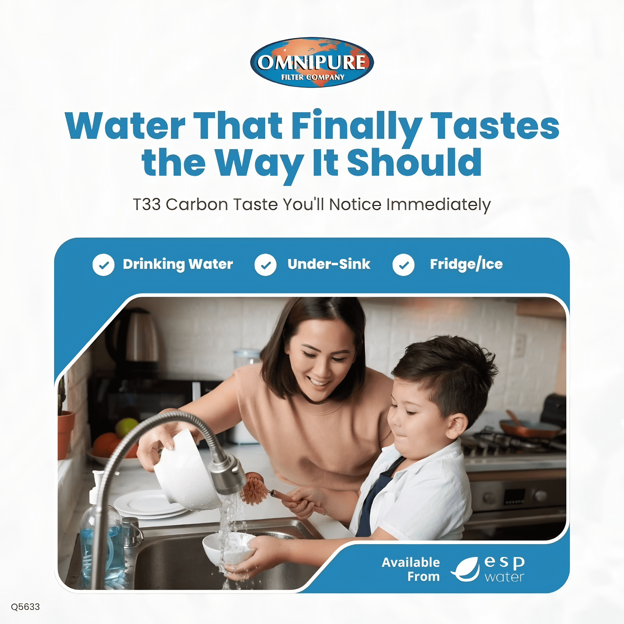 Q5633 Granular Carbon GAC Water Filter T33 2.5 x 12 Inches