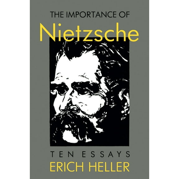 Sino-American-German Documentary The Importance of Nietzsche, (Paperback)