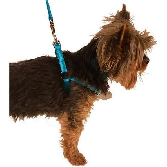 Adjustable Harness, Purple - Extra Small - 11-14 in.