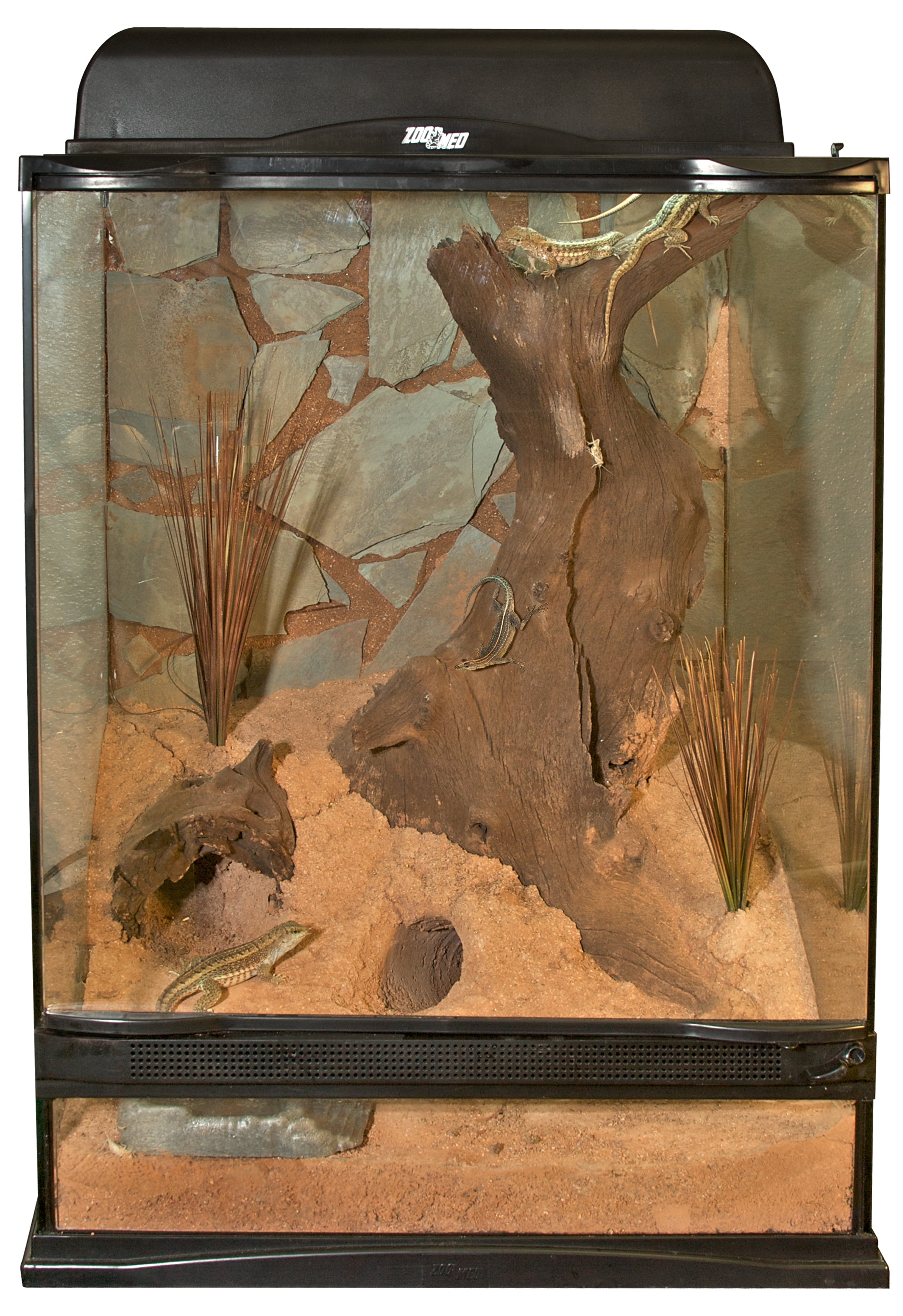 ZOO MED LABORATORIES INC Terra Effects Nano LED w/sound NANO 8W並行輸入 Snake Bedding Terra Pump | Zoo Med Laboratories, Inc Turtle Aquarium