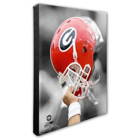 - Georgia Bulldogs 16