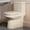 Bisque, variant on HOROW Toilet One Piece Small Compact with Soft Closing UF Seat Dual Flush 1.1/1.6 GPF 12" Rough-in Matte Black