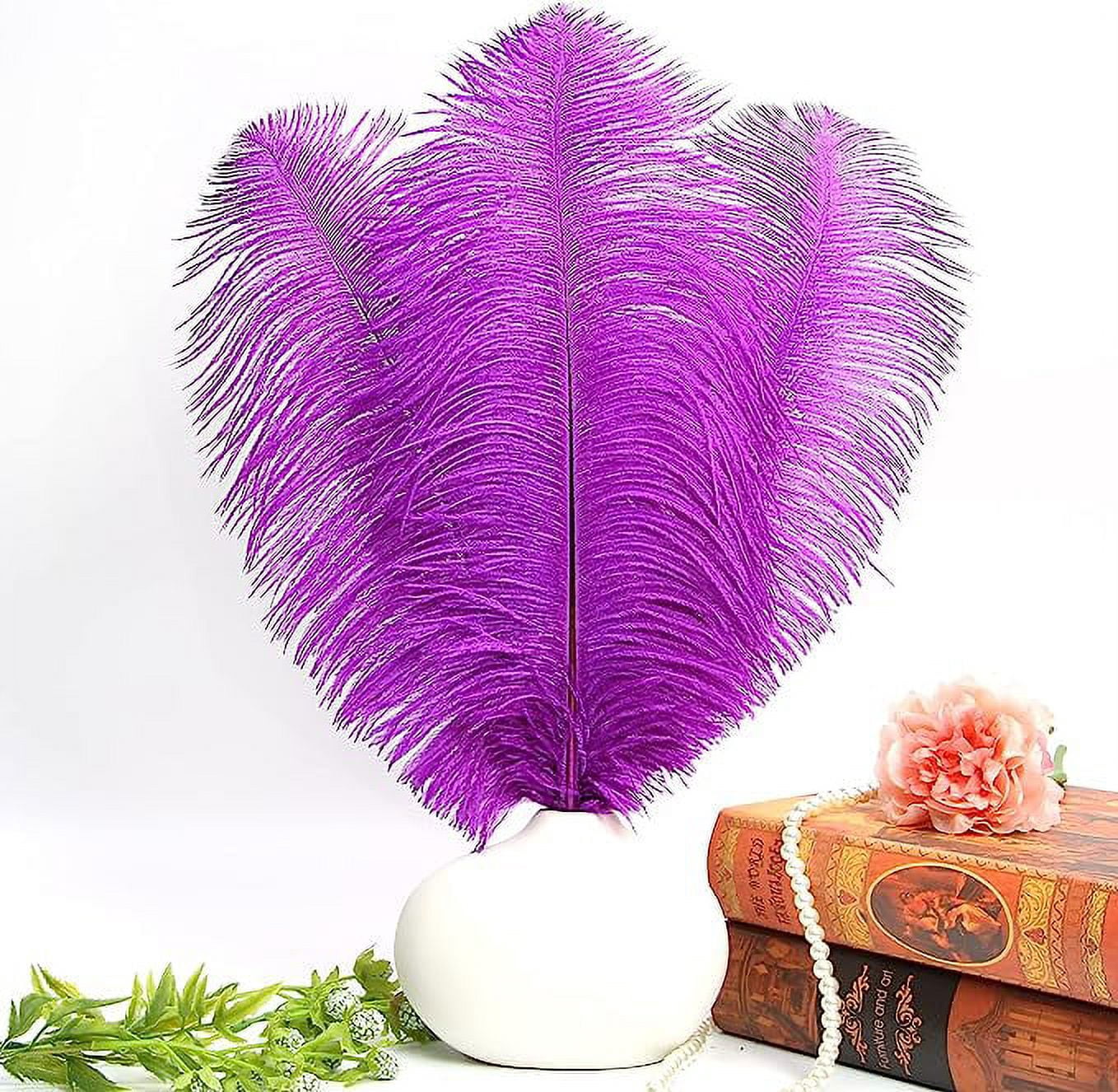 Namzi 12pcs Purple Ostrich Feathers Natural Bulk 16-18Inch 40cm-45cm for Wedding Party Centerpieces Easter Gatsby and Home Decorate Ostrich Feathers
