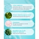 thumbnail image 4 of Tula Skin Care H2Oasis Mascarilla revitalizante instantánea para la piel: mascarilla hidratante que rellena y energiza la piel cansada y deshidratada. Contiene planta de resurrección y lima del desier, 4 of 6