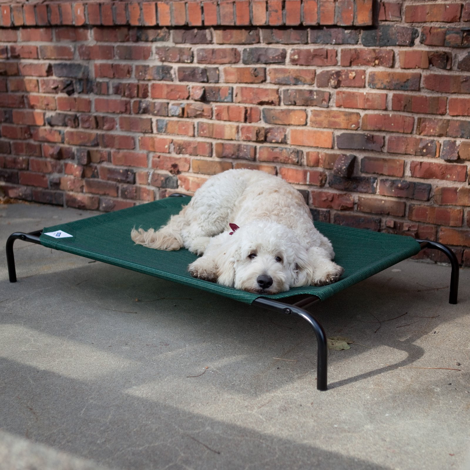 The Original Coolaroo Elevated Pet Dog Bed for Indoors & Outdoors, XL, Green