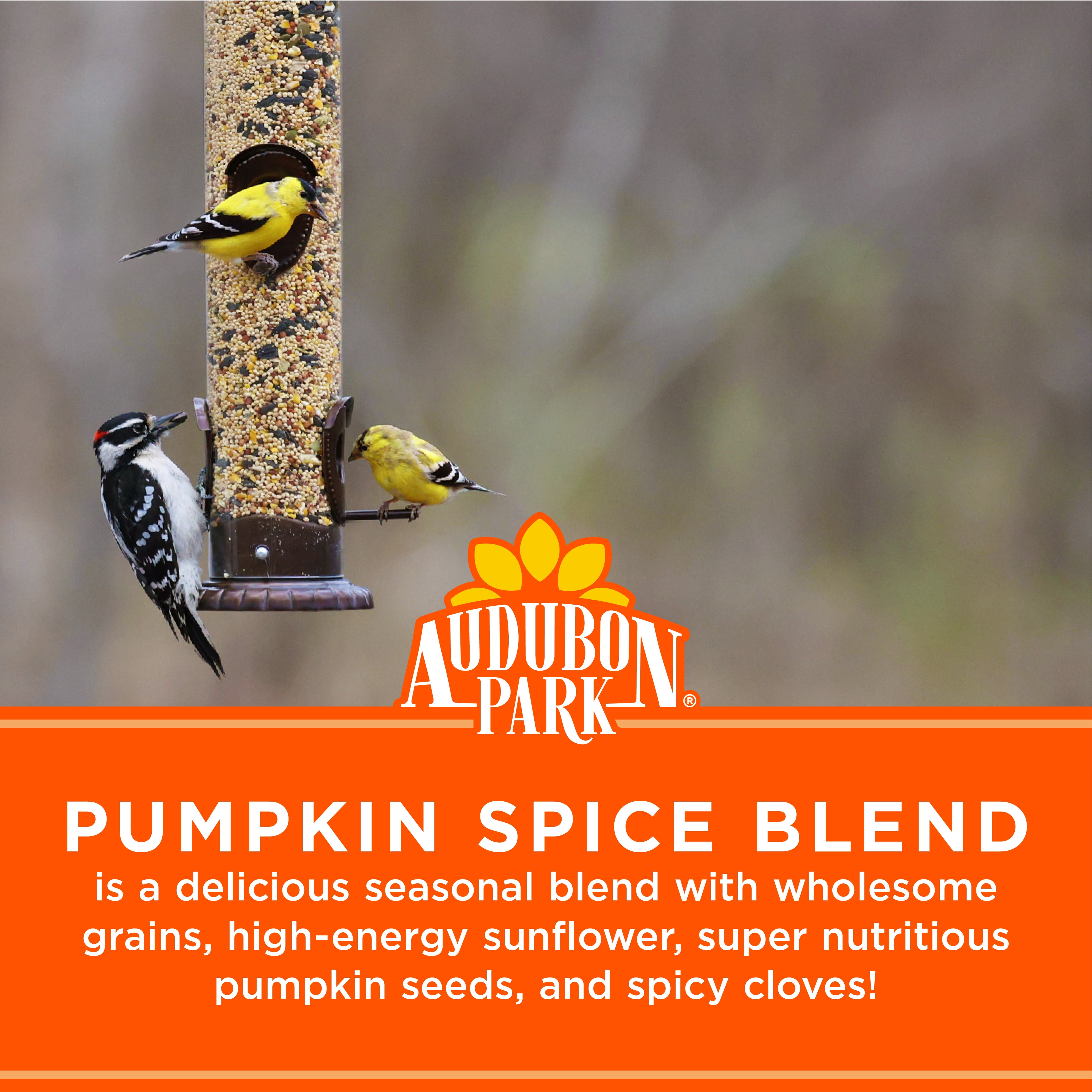 (3 pack) Audubon Park Pumpkin Spice Wild Bird Seed, Dry, 1 Count, 2 lb Bag