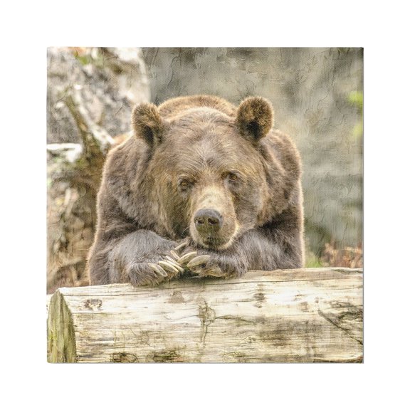 Stupell Industries Bear Resting on Log Animals & Insects Painting Gallery Wrapped Canvas Art Print Wall Art, 17 x 17