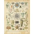 thumbnail image 3 of Babbitt, Gwendolyn 19x24 Black Modern Framed Museum Art Print Titled - Oceanographie, 3 of 5