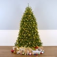thumbnail image 3 of National Tree Company 7.5 ft Pre-lit Dunhill Fir® Shimmer Artificial Christmas Tree with 700 Dual Color® LED Lights, PowerConnect System and Stand, 3 of 3