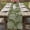 DarkOliveGreen, variant on Table Runner 120 Inches Long for Kitchen Dining, Teal Coastal Dresser Scarf Farmhouse, Dining Table Decorations for Wedding/Parties, Starfish Coral Summer Beach Ocean 13 x 120 In