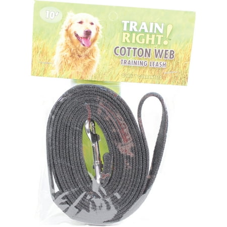 Coastal Pet Products-Train Right! Cotton Web Dog Training Leash- Black 10 (Best Leash To Train A Dog)