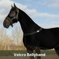 thumbnail image 3 of Premium Horse Full Body Slinky with Full Zipper Face and Forelock Saver - Lycra Material, 3 of 8