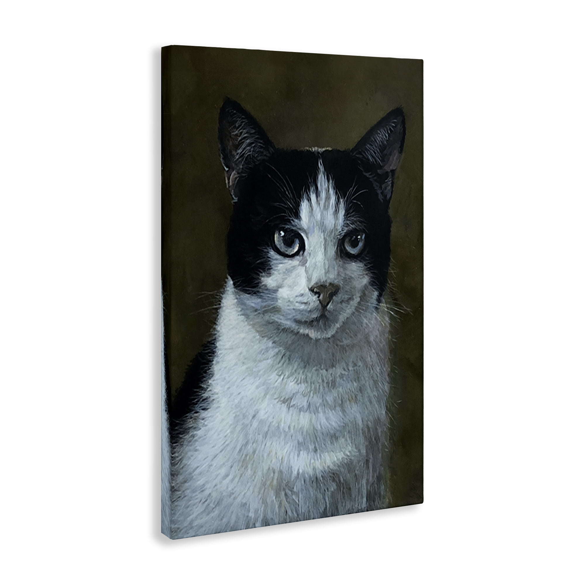 Stupell Industries Black & White Cat Angst Animals Painting Wrapped Canvas Art Print Wall Art, 16 x 24