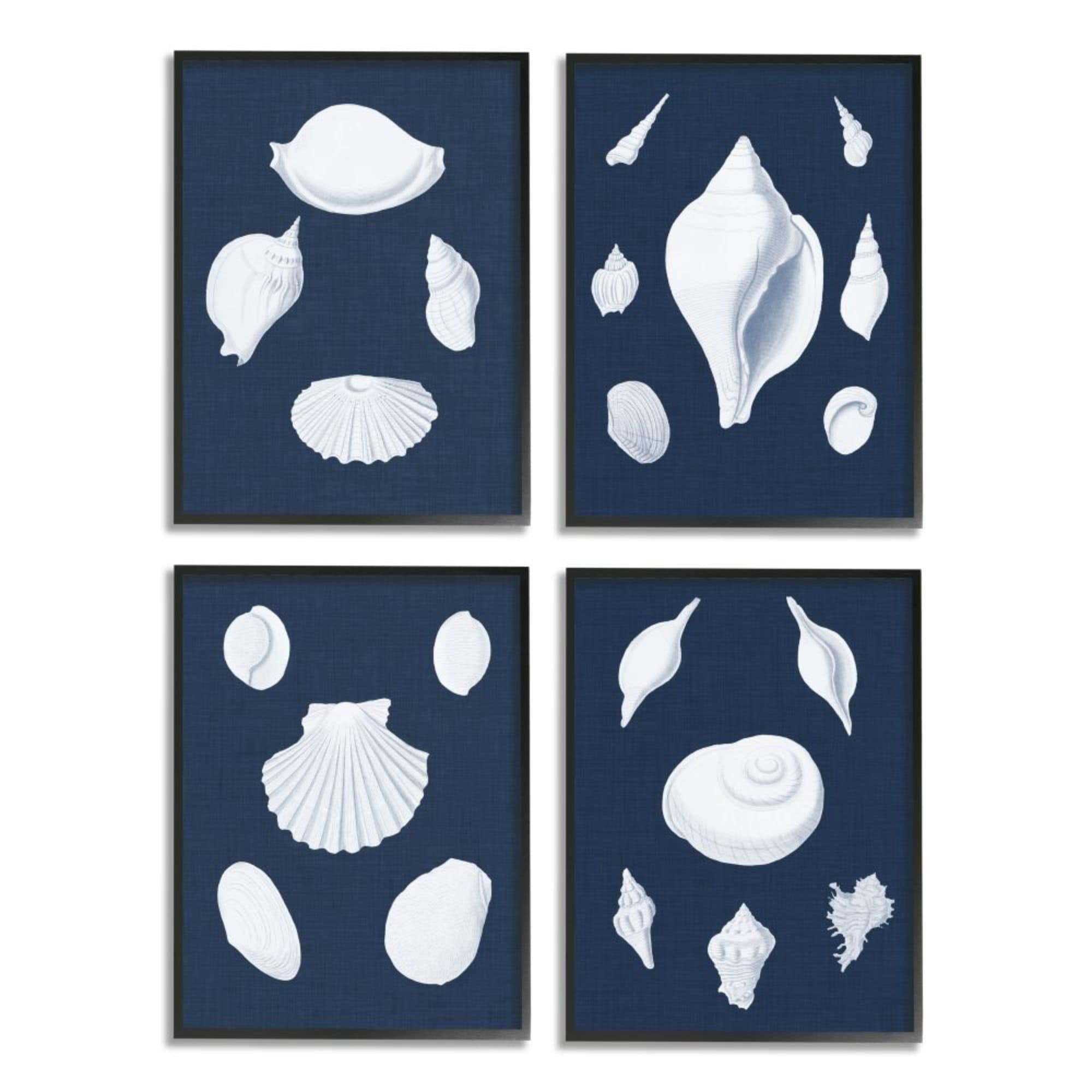 Stupell Industries White Nautical Beach Shells Minimal Deep Blue Design by Vision Studio