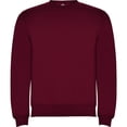 thumbnail image 1 of Roly  Adult Clasica Crew Neck Sweatshirt, 1 of 4