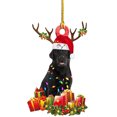 thumbnail image 1 of Christmas Tree Thanksgiving Hanging Gift Puppy Indoor Outdoor Decor For Yourself Family Friends Or Someone Special 10 * 17Cm 08A Multi-Color, 1 of 6