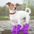 thumbnail image 5 of 12 Piezas de Botas Impermeables para Perros Zapatos para Cachorros Botas de Lluvia Antideslizantes de Color Caramelo Botas para Mascotas Adecuadas para Perros pequeños y medianos Nieve y Lluvia Talla S Rojo Verde, 5 of 5