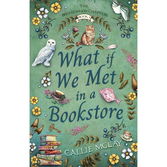 Breezewood Chapters What If We Met In A Bookstore, Book 1, (Paperback)