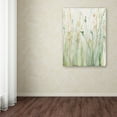 thumbnail image 3 of Trademark Fine Art "Spring Grasses II Crop" Canvas Art by Avery Tillmon, 3 of 3