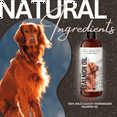 thumbnail image 4 of All American Canine Salmon Oil - 16 fl oz, 4 of 7