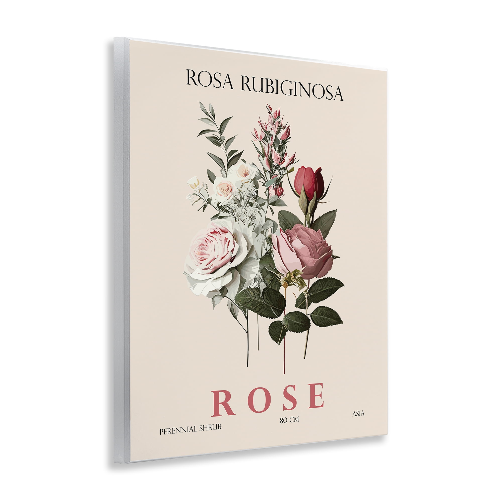 Stupell Industries Natural Rose Bundle Wall Plaque Art, design by Christopher Giampietro