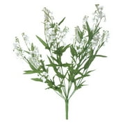 White Lily of Valley Bush, 1 Each