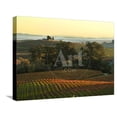 thumbnail image 1 of Vineyard from Artesa Winery, Los Carneros, Napa Valley, California, Scenic Stretched Canvas Wall Art by Janis Miglavs Sold by Art.Com, 1 of 5
