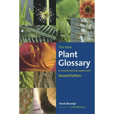 The Kew Plant Glossary : An Illustrated Dictionary of Plant Terms - Second Edition (Edition 2) (Paperback)