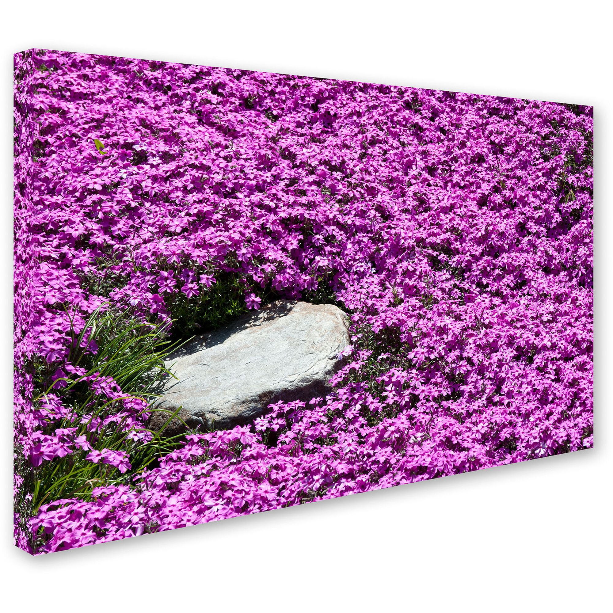 Trademark Fine Art "Island in Purple" Canvas Art by Kurt Shaffer