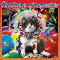 Avanti Chatons Grognons OFFICIEL | 2026 12x24" (Hanging) Square Wall Calendar