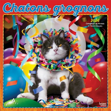 Avanti Chatons Grognons OFFICIEL | 2026 12x24" (Hanging) Square Wall Calendar