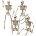 thumbnail image 1 of Movable Skeleton Decoration Whole Body Skull Bone Decoration Used for , Haunted House and Cemetery Decoration, 1 of 5