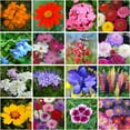 thumbnail image 3 of Mini Wildflower Seed Shaker - Bird & Butterfly Garden Seed Mix | 60,000+ Annual & Perennial Flower Seeds for Planting - Attracts Hummingbirds & Butterfly | No Messy Bags or Packets C9, 3 of 4