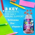 thumbnail image 6 of Kids Immune Support Supplement Gummies - Daily Childrens Vitamins C, Zinc & Echinacea - Gummy for Kids Immune Support, Ages 4 and Up, Natural Berry Flavor, Non-GMO, Gluten-Free & Vegan - 90 Gummies, 6 of 9