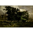 thumbnail image 2 of Edward Mitchell Bannister 14x11 Gold Ornate Wood Frame and Double Matted Museum Art Print Titled - Tree Landscape (1877), 2 of 4