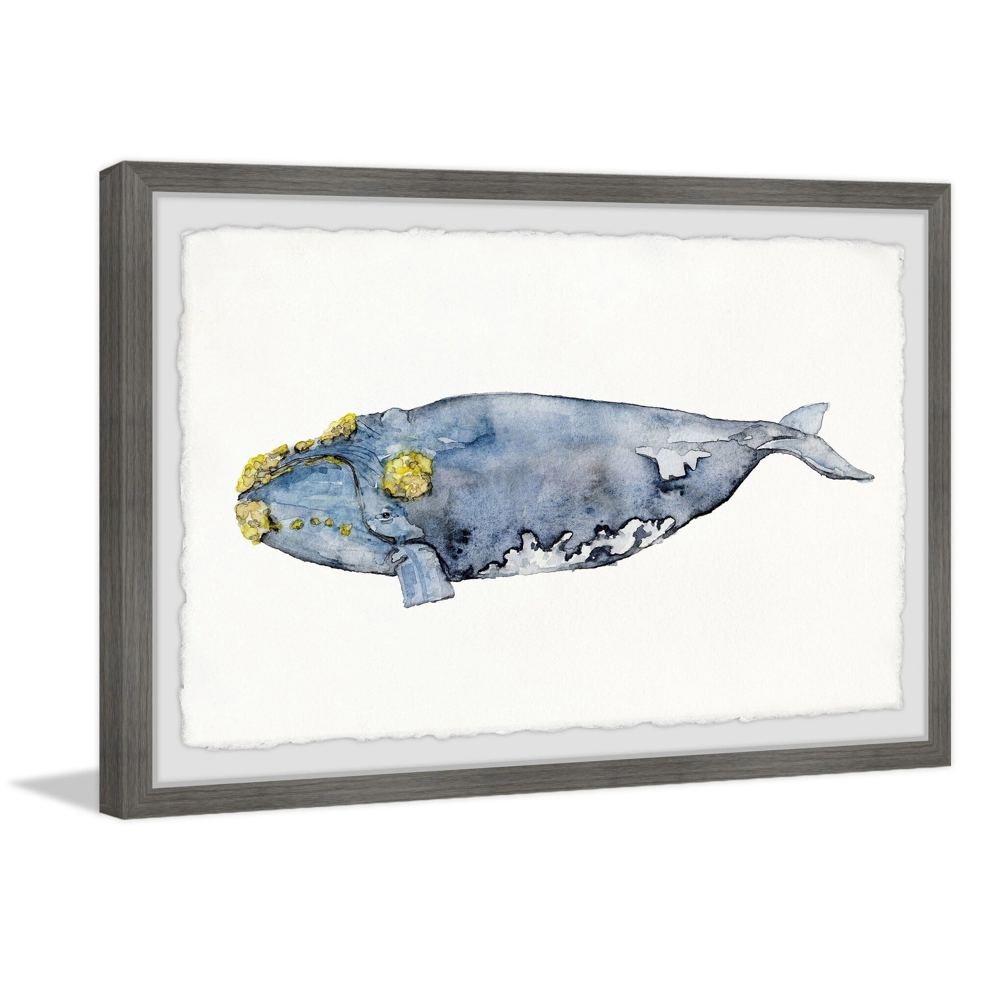 Marmont Hill Mossed Whale by Rachel Byler Framed Wall Art