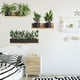 thumbnail image 4 of Pegatina de pared de 2 piezas Naiovety calcomanía decorativa de planta DIY papel tapiz extraíble autoadhesivo, 4 of 6
