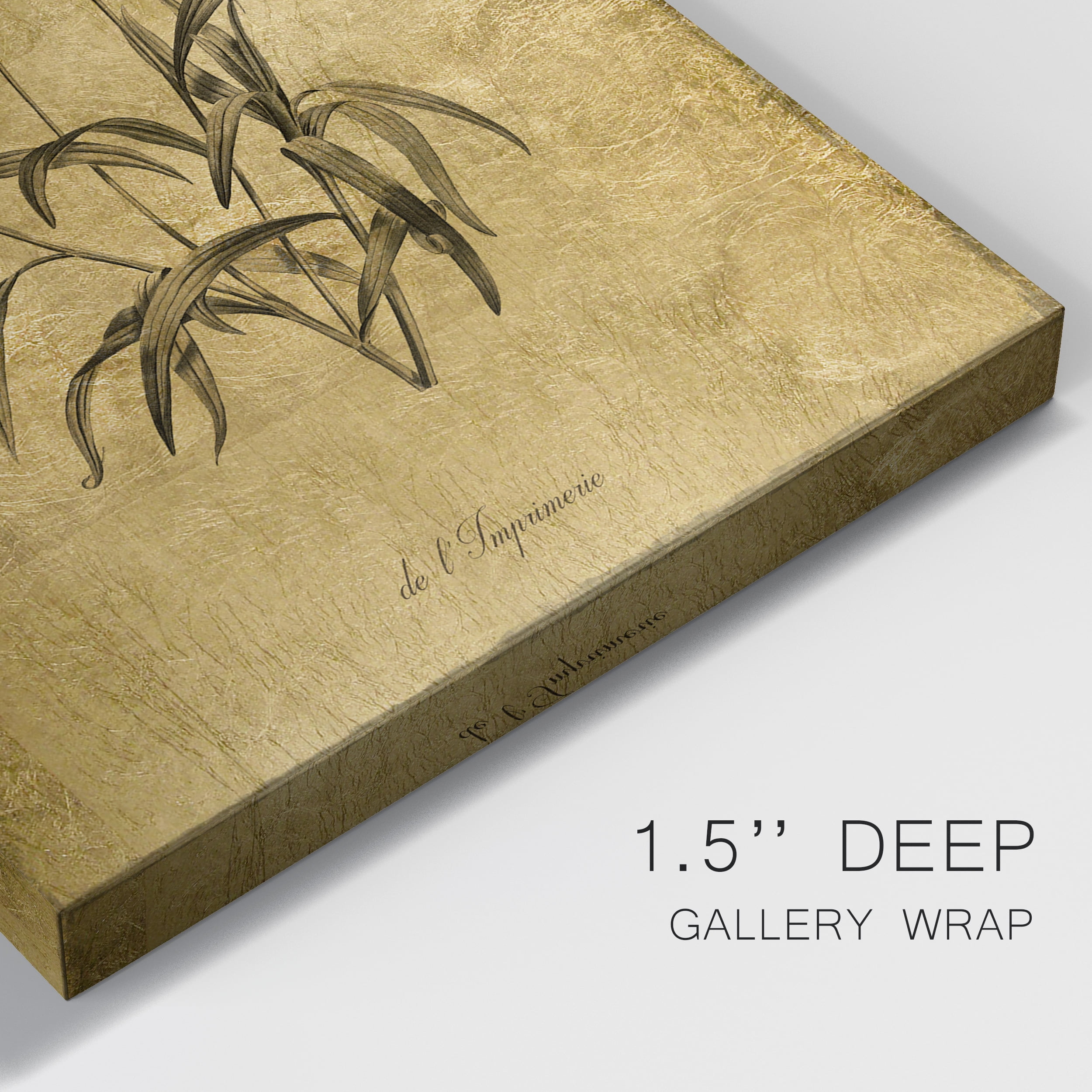 Gold Sketch Botanical I Premium Gallery Wrapped Canvas - Ready to Hang - 8 x 12