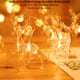 thumbnail image 2 of De Hadas, Cadena De Luces De Navidad, Lámpara Impermeable, Luces Led De Cadena Flexibles Transparentes, Luces Decorativas Para Navidad 10 Luces Led Inevent HA017964-00, 2 of 6