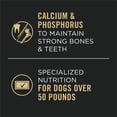 thumbnail image 3 of Purina Pro Plan Large Breed Chicken & Rice Entree Wet Dog Food, 368-g can, case of 12, 3 of 5